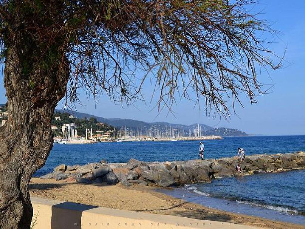 183 D36 LE LAVANDOU_000003.jpg
